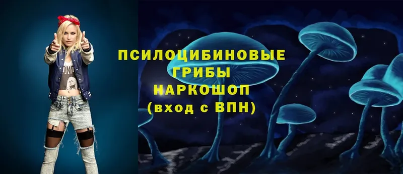 где продают   Нальчик  blacksprut как зайти  Галлюциногенные грибы Psilocybe 